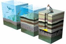 منشا تشکيل نفت