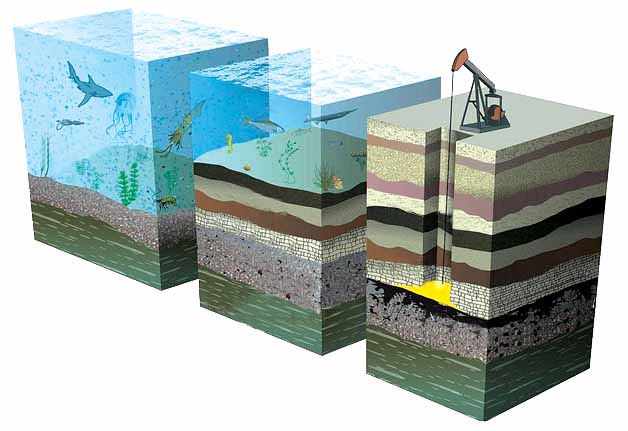 منشا تشکيل نفت