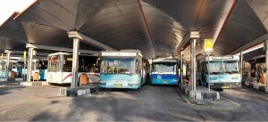 عکس: کریم نبئی